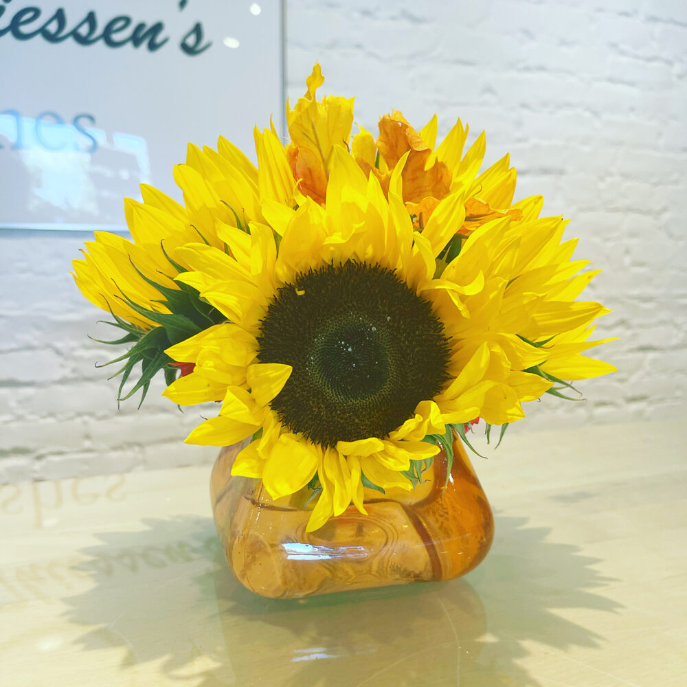 Sunflower Cutie