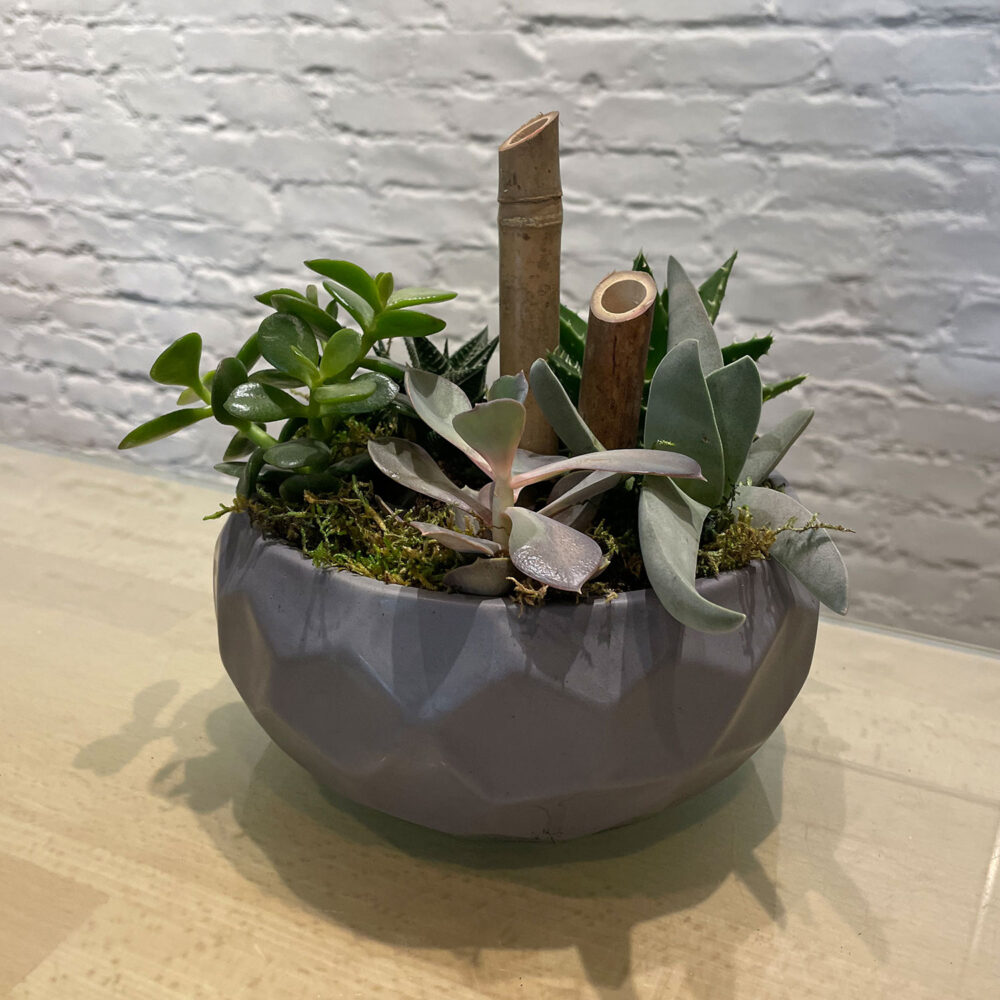 Embossed Succulent Planter - Image 2