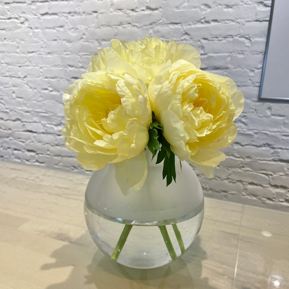 Cheerful Peonies