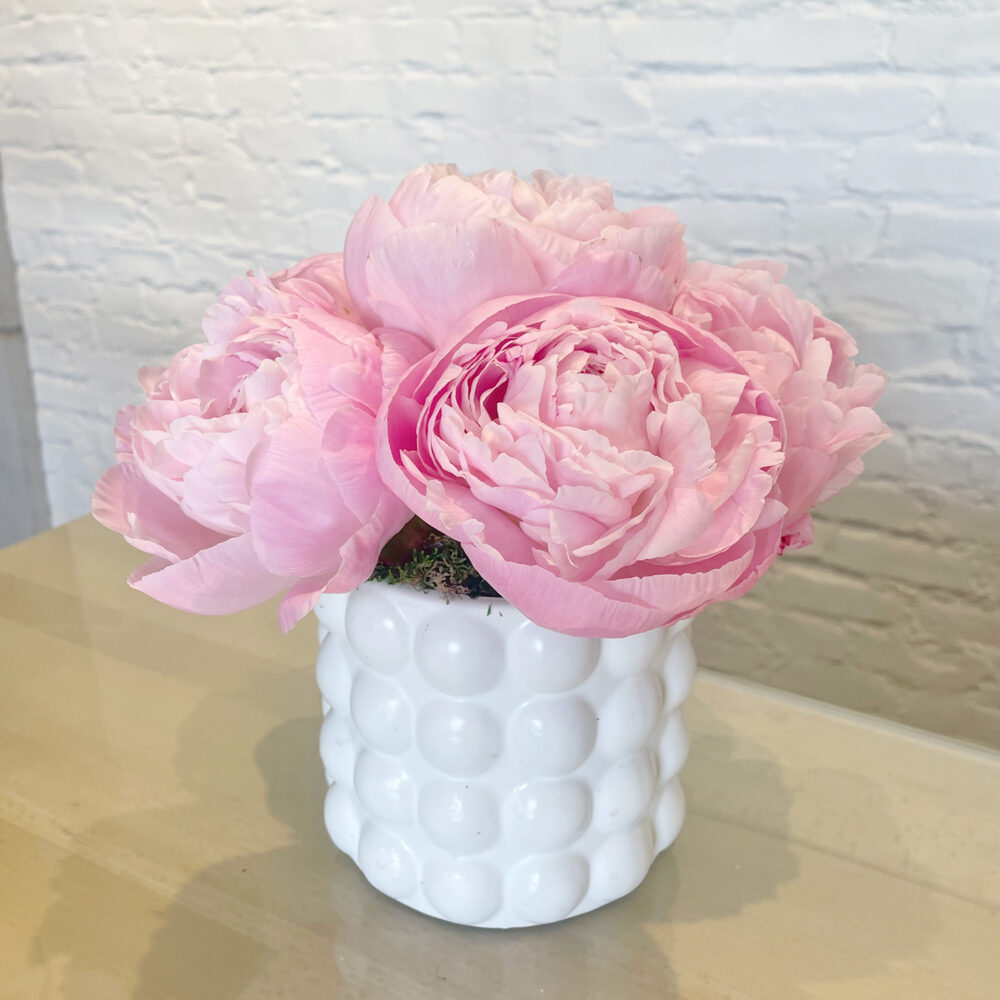 Pretty Peonies