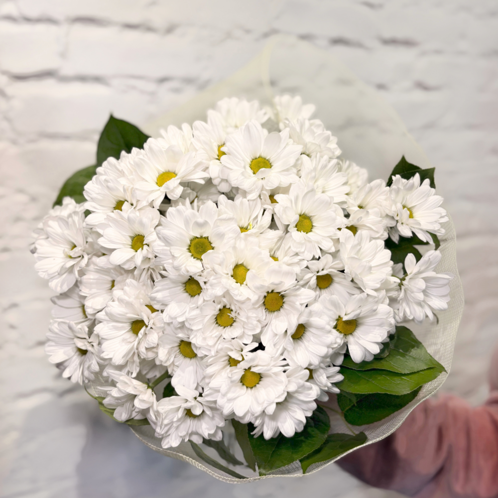 sweet daisy bouquet