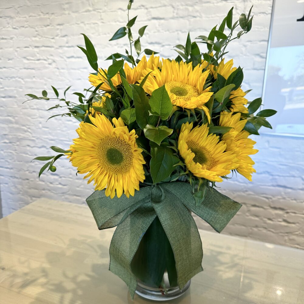 Field of Sunflowers