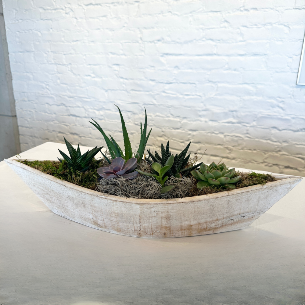 Giant Succulent Wooden Boat