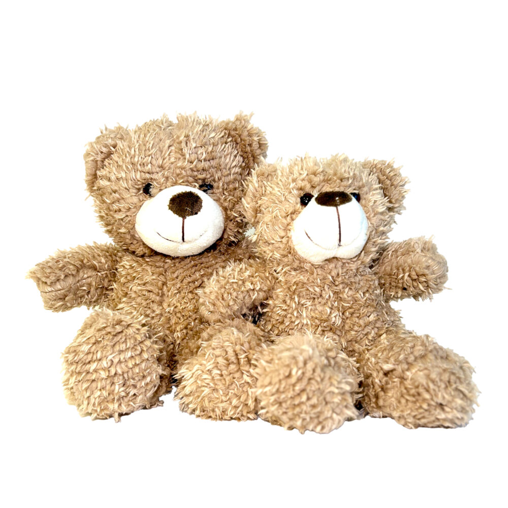 Teddy Bear Plush - Image 3