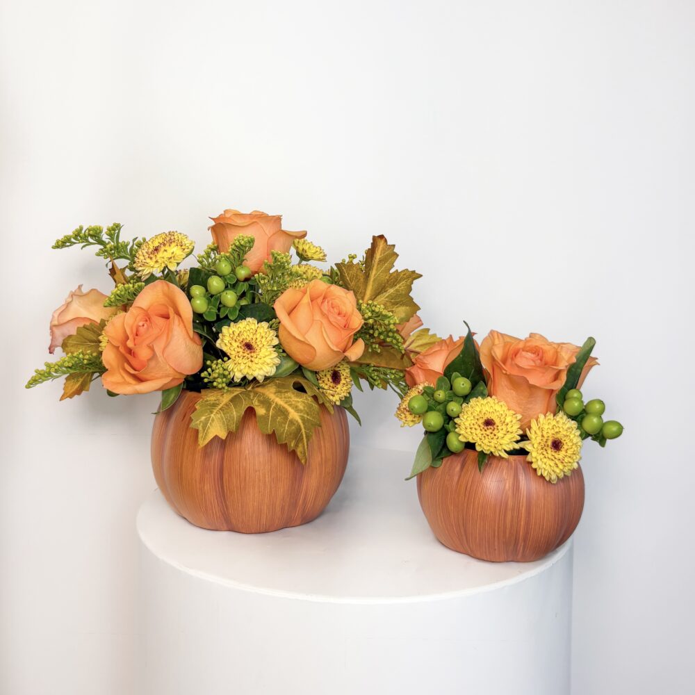 Pumpkin Patch