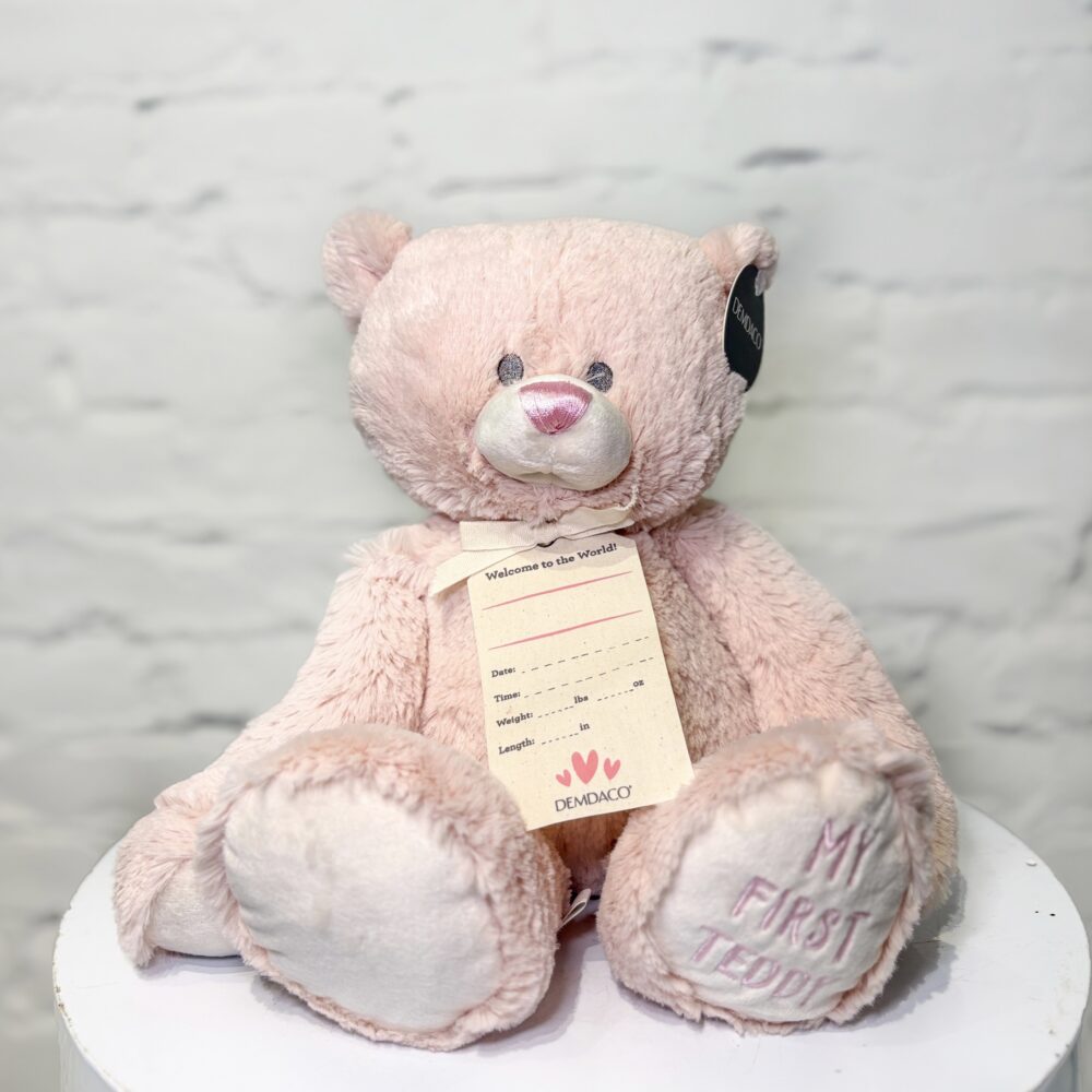 Baby's First Teddy