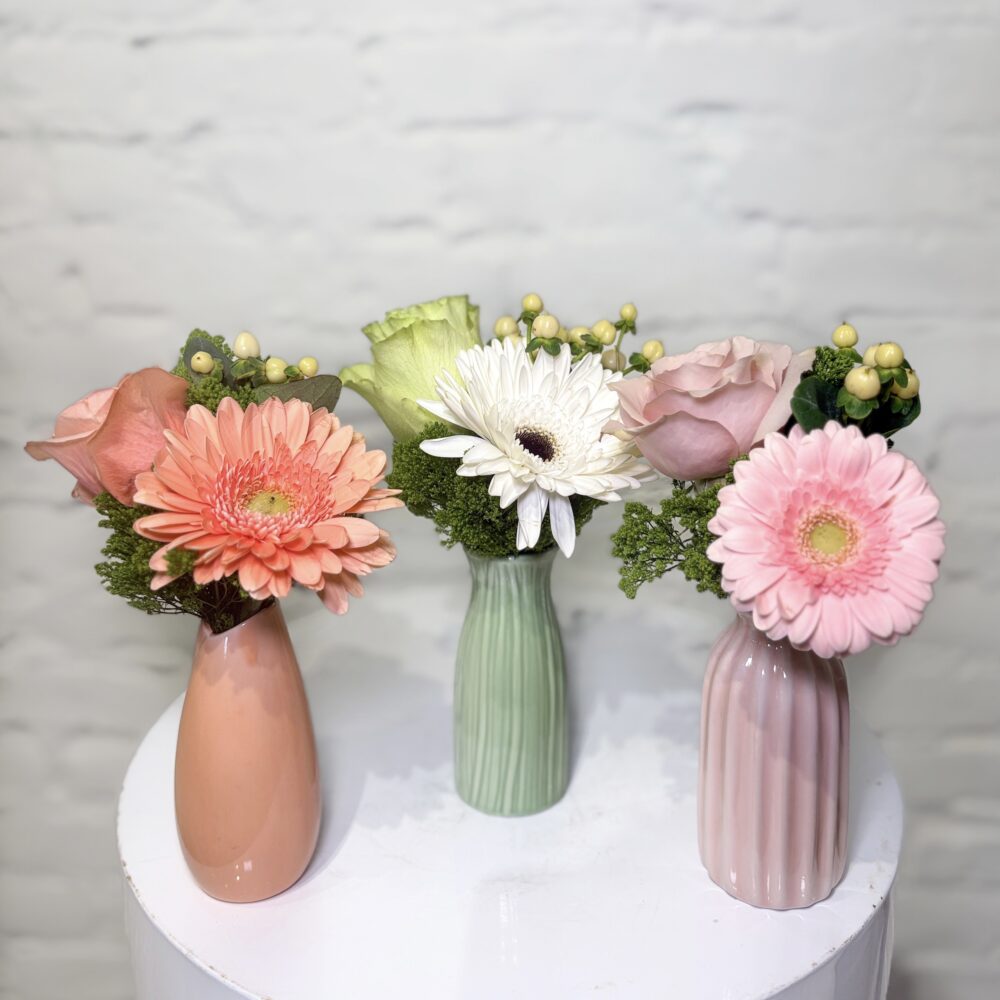 A sweet little splash of springtime joy, designed in your choice of three soft pastel vases. Each arrangement features a cheerful mix of vibrant gerbera daisies, delicate roses, airy trachelium, and fresh seasonal greens, accented with playful berry clusters for added texture and charm.